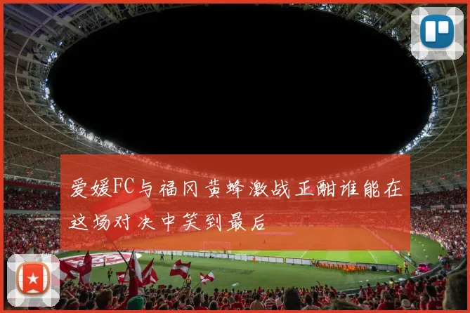 爱媛FC与福冈黄蜂激战正酣谁能在这场对决中笑到最后