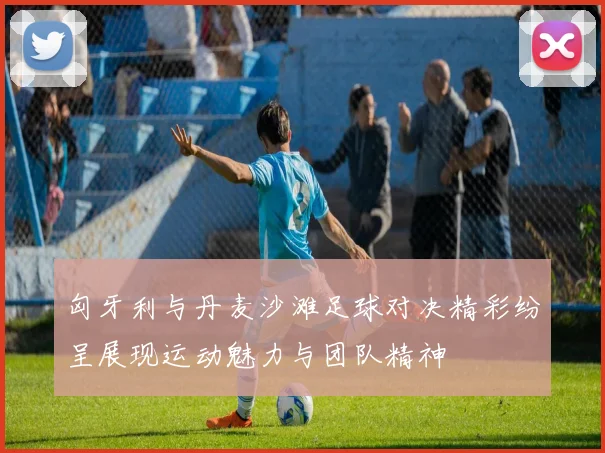 匈牙利与丹麦沙滩足球对决精彩纷呈展现运动魅力与团队精神