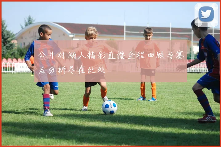 公牛对湖人精彩直播全程回顾与赛后分析尽在此处